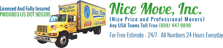 Nice Move Inc. Logo