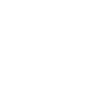 Bridgeview Van Lines logo