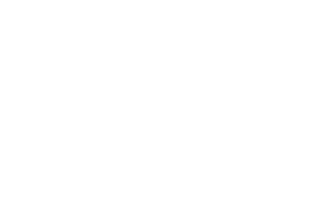 Faster Moving Services logo