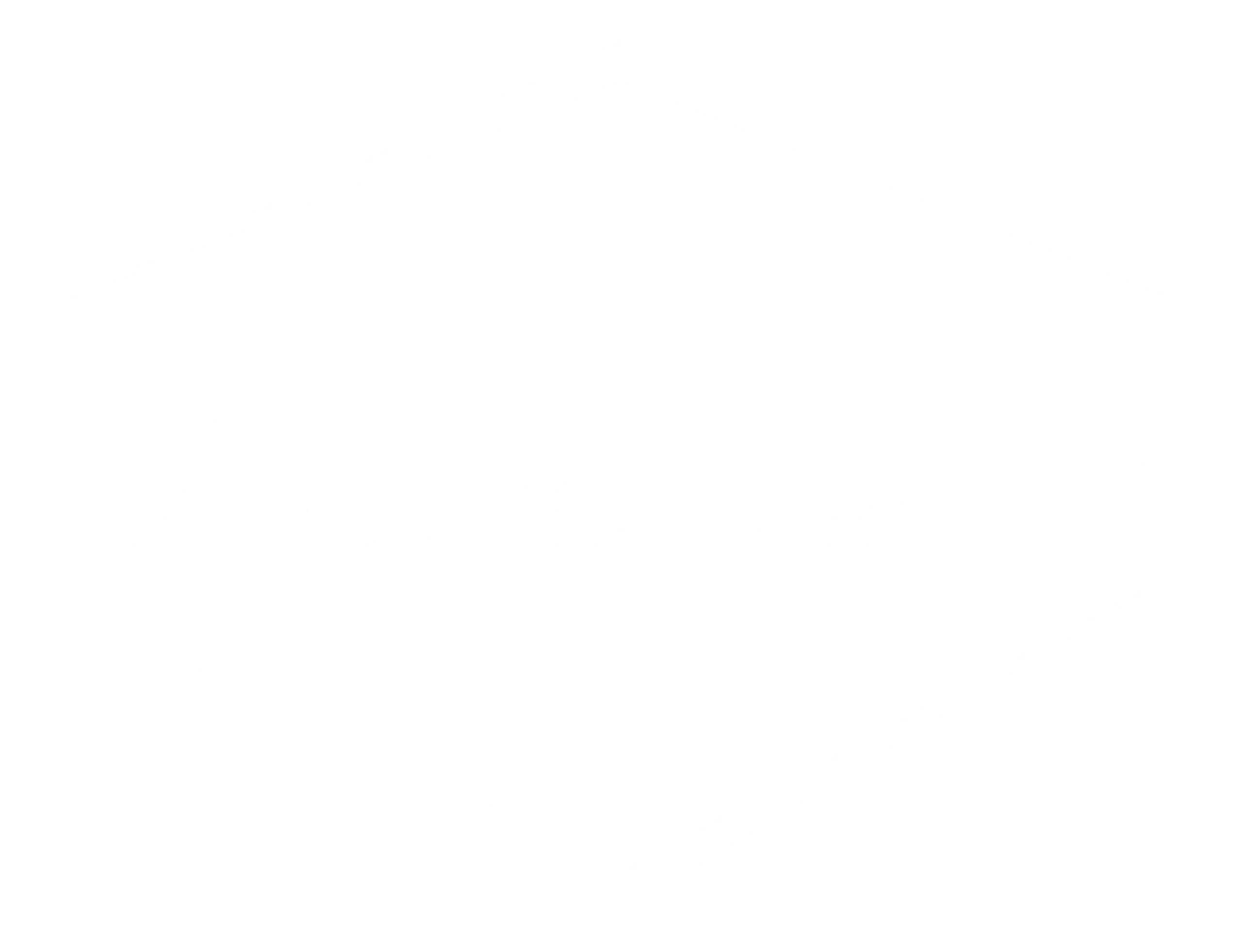 HAUL&JUNK LLC logo