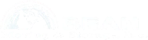 Bean Moving & Storage logo