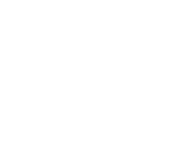 Boulder Valley Transfer Moving Logo