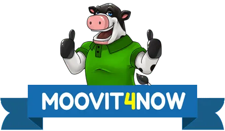 Moovit4Now logo