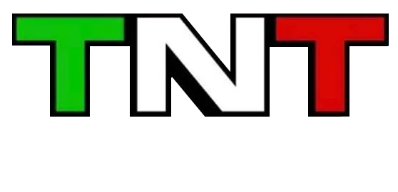 TNT Movers LLC logo